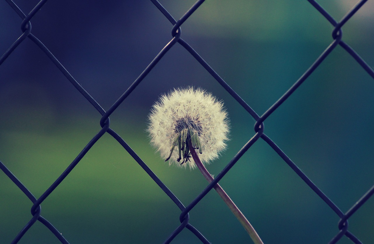 The role of mindfulness in personal safety